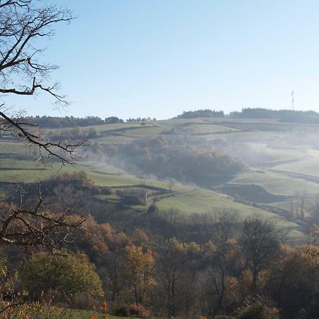 Gites Le Chene & Le Tilleul Saint-Romain-de-Lerps 外观 照片