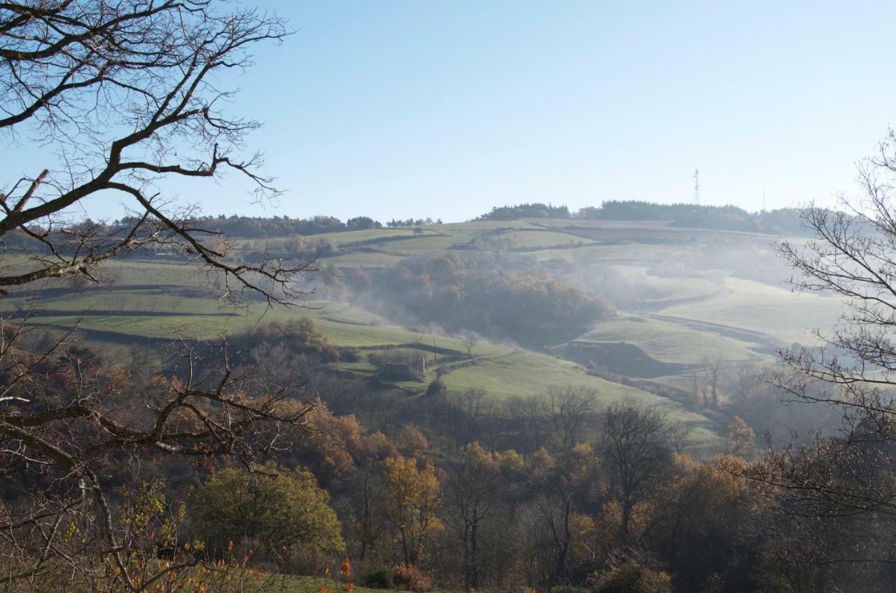 Gites Le Chene & Le Tilleul Saint-Romain-de-Lerps 外观 照片
