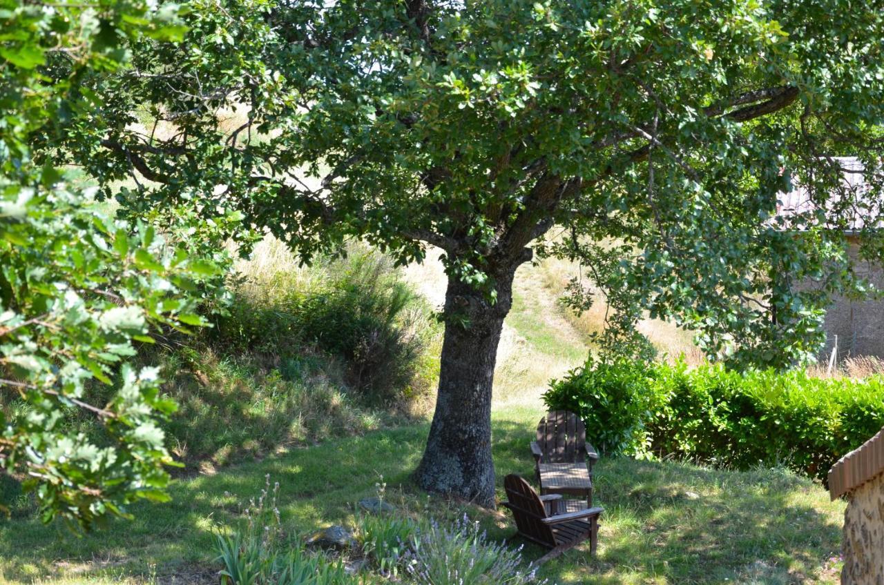 Gites Le Chene & Le Tilleul Saint-Romain-de-Lerps 客房 照片